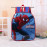 Detský školský set Spiderman 3v1