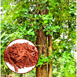 Luxusný darčekový kôš pre ženy Gold relax 6v1