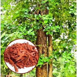 Darčeková sada pre ženy Bath Vanilla 3v1