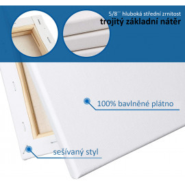 Veľká maliarska sada Akrylové farby s plátnami a doplnkami 36ks